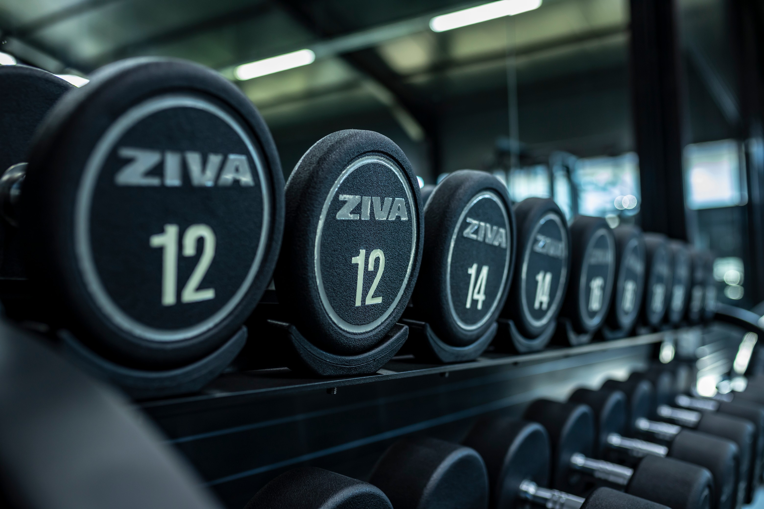 Mitu Gym - Sala Fitness Snagov