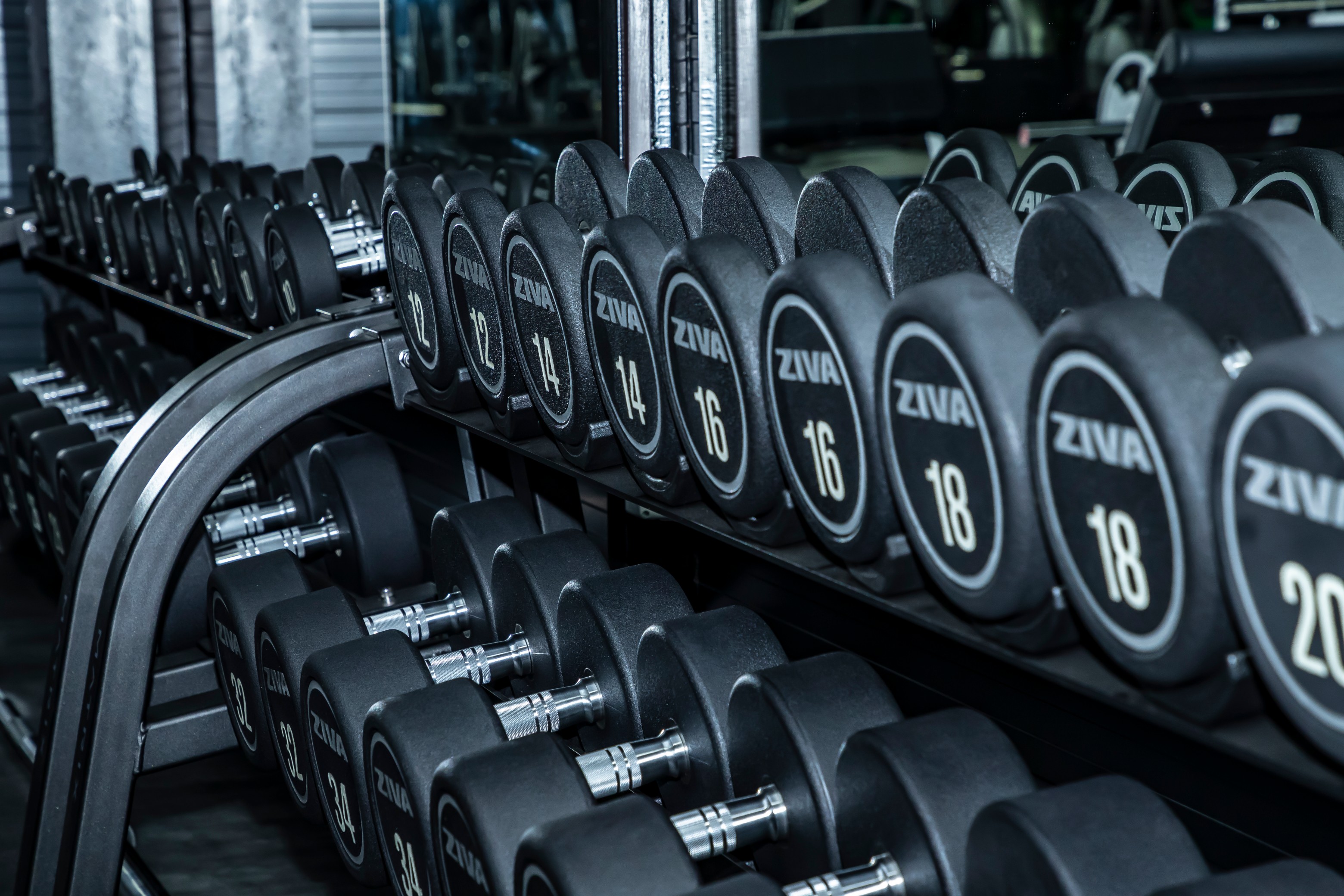 Mitu Gym - Sala Fitness Snagov
